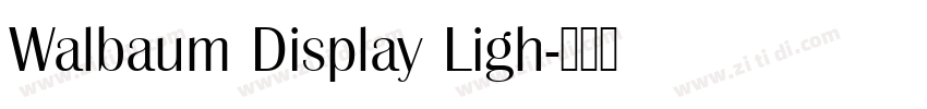 Walbaum Display Ligh字体转换